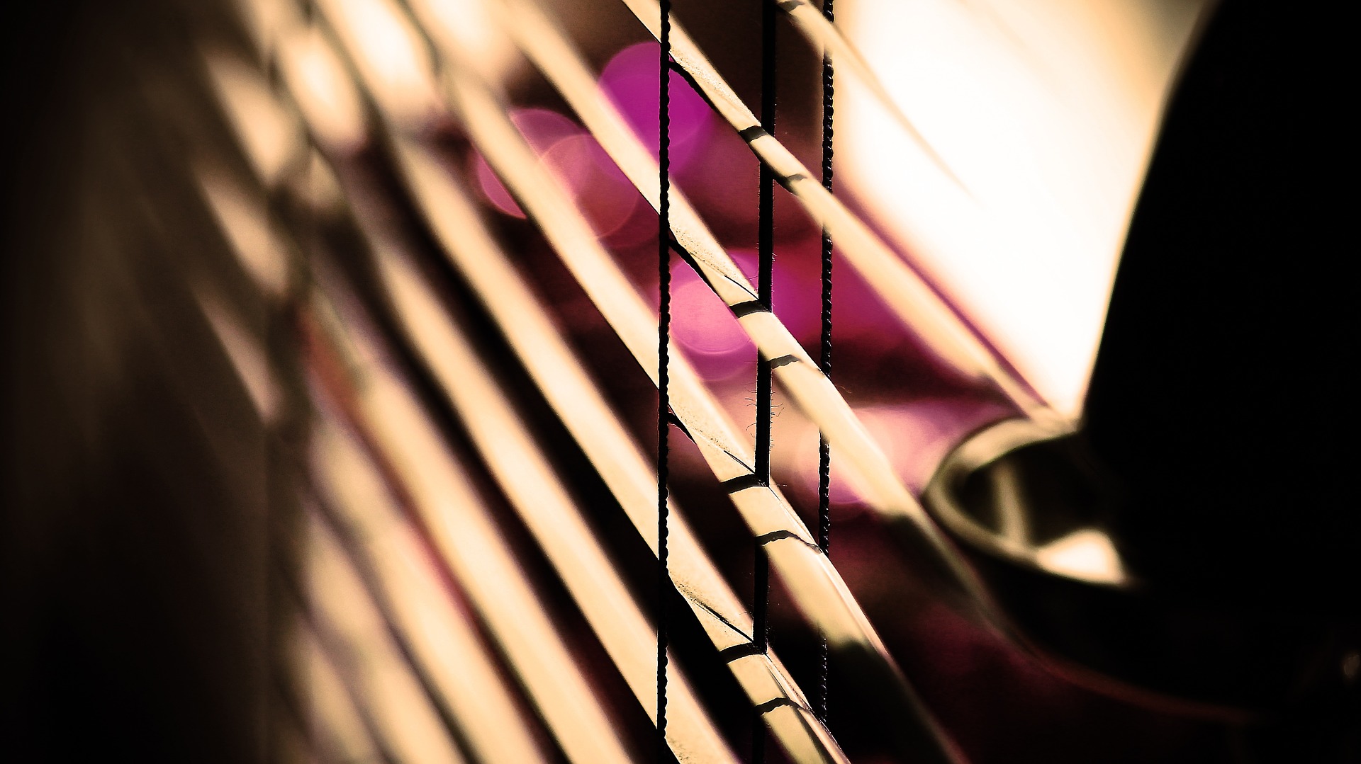 blinds for autumn and winter
